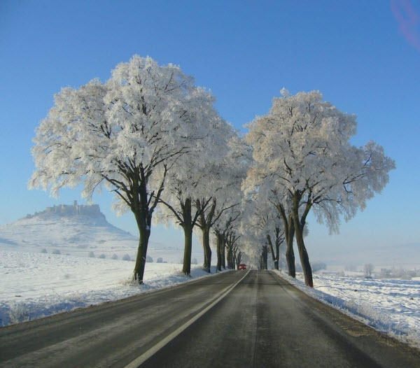 عکس طبیعت