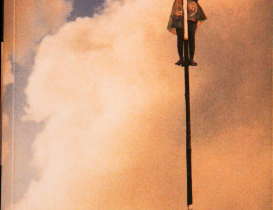 A Fine Balance Novel by Rohinton Mistry