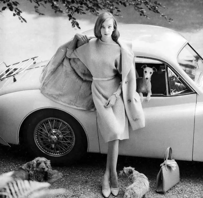 Nena von Schleebrügge posing for Vogue, 1958 | fashion photo