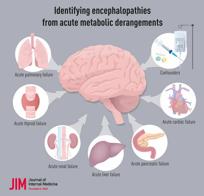 انسفالوپاتی متابولیک (Metabolic Encephalopathy)