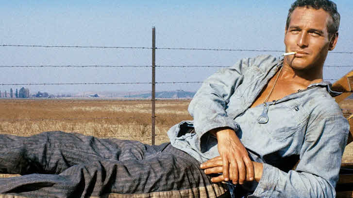 فیلم لوک خوش‌دست Cool Hand Luke