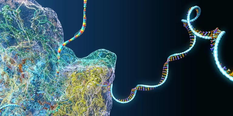واکسن 20 سویه mRNA آنفلوآنزا
