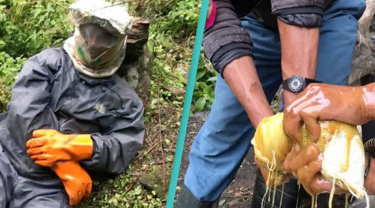 Mad Honey Disease (Grayanotoxin Poisoning)