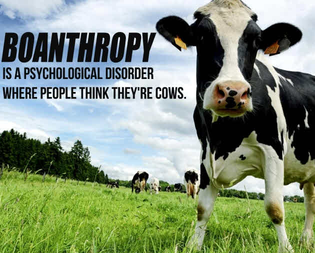 Boanthropy (Belief That One is a Cow)