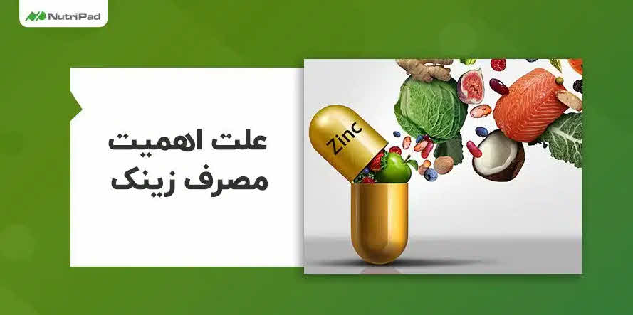 قرص رینک پلاس نوتری پاد