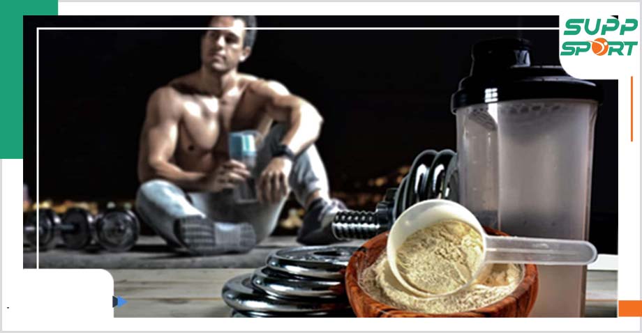 مضرات پروتئین وی