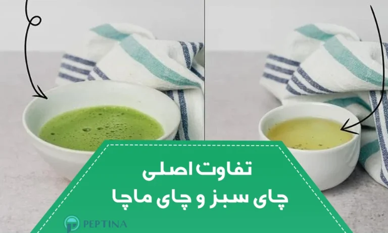 تفاوت اصلی چای سبز و چای ماچا