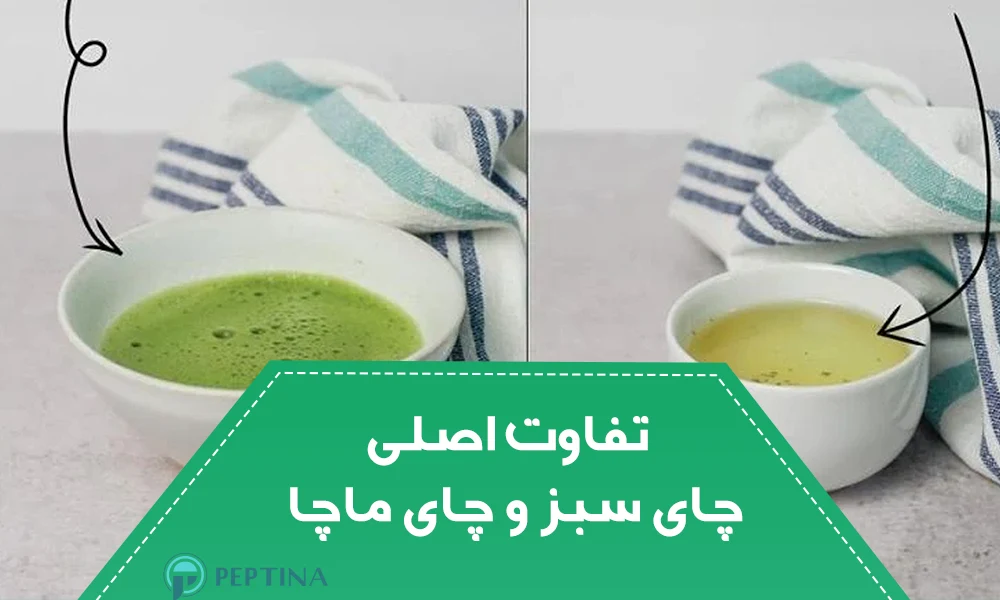 تفاوت اصلی چای سبز و چای ماچا