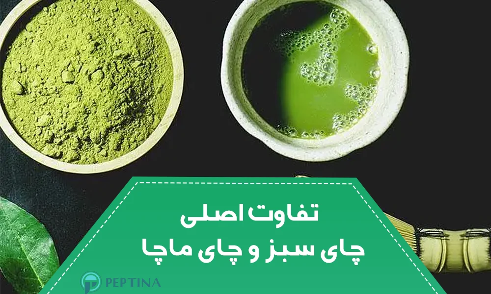 تفاوت اصلی چای سبز و چای ماچا
