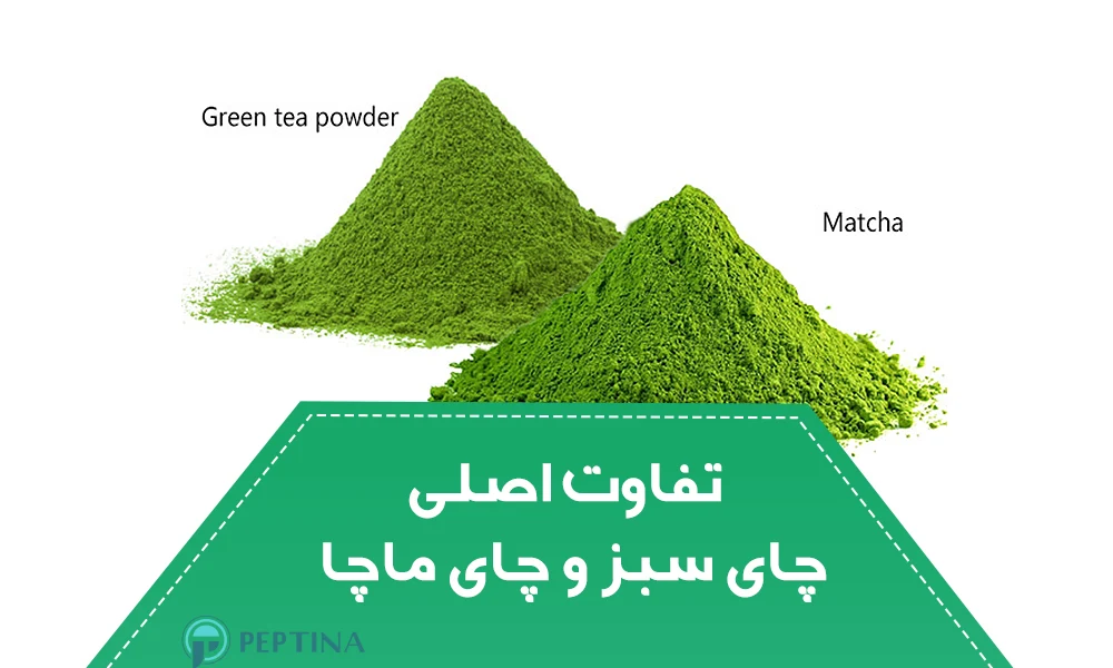 تفاوت اصلی چای سبز و چای ماچا