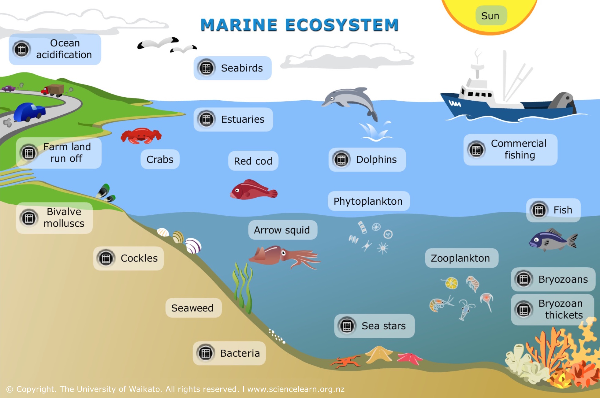 زیستبوم (Ecosystem)