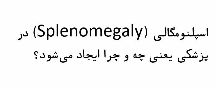 اسپلنومگالی (Splenomegaly)