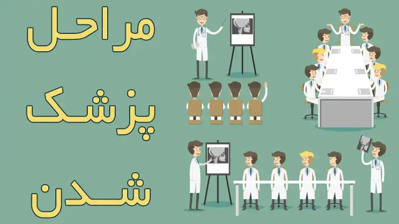 مراحل تحصیلی پزشکی