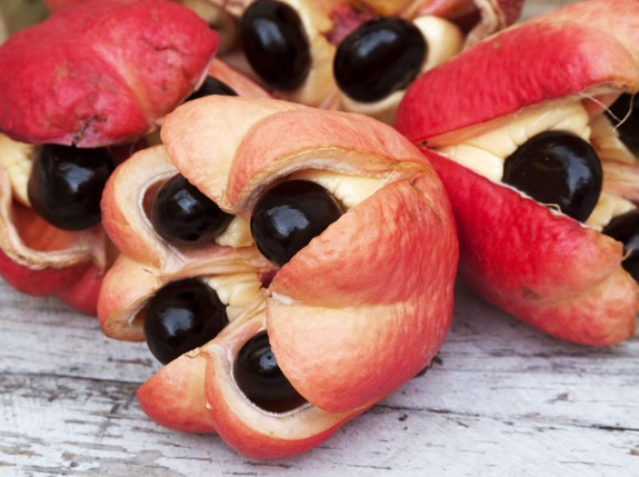 غذاهای ممنوعه