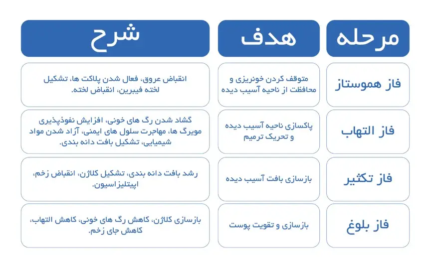 مراحل زخم