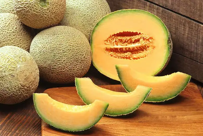 ملون چاق کننده است