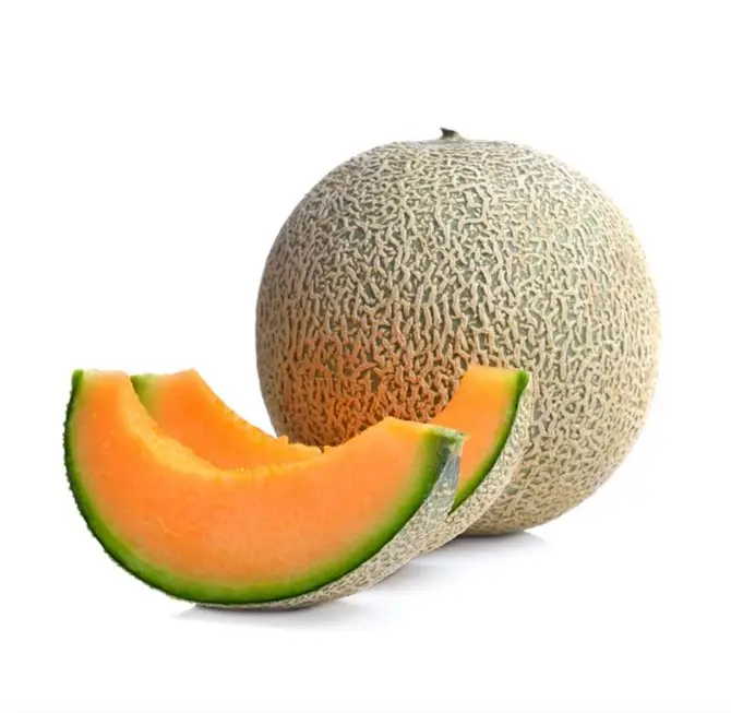 ملون چاق کننده است