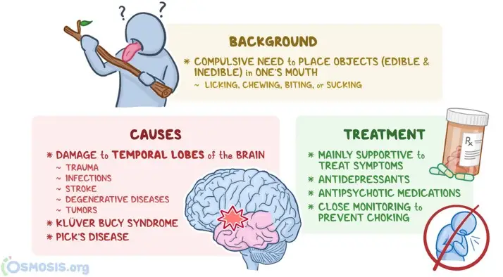 سندرم کلاور-بوسی یا Klüver-Bucy Syndrome (KBS)