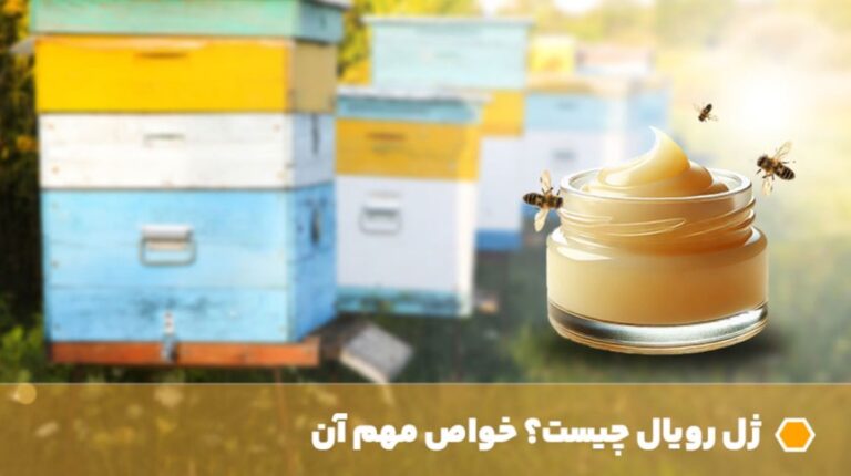 ژل رویال چیست و خواص آن کدام است