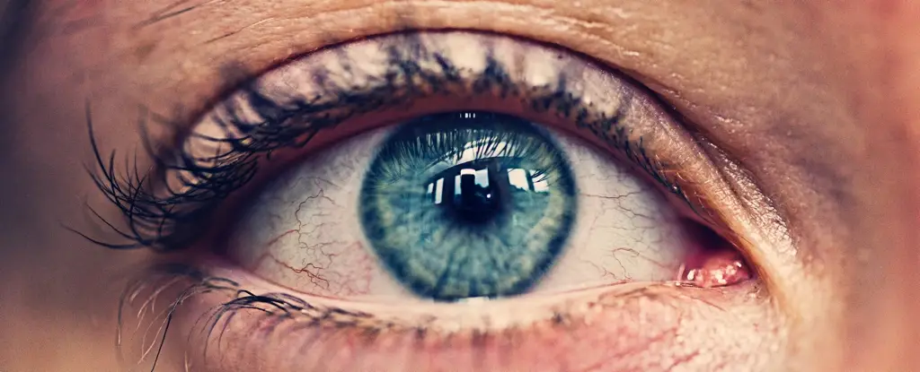 تغییرات اقلیمی چگونه بینایی ما را تهدید میکنند؟