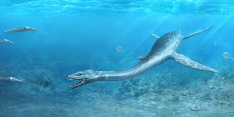 پلسيوسور (Plesiosaur)