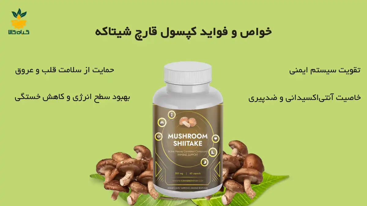 قرص قارچ شیتاکه
