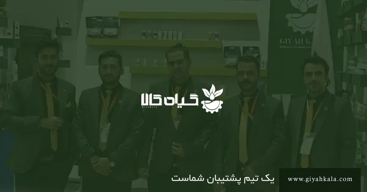 قرص قارچ شیتاکه