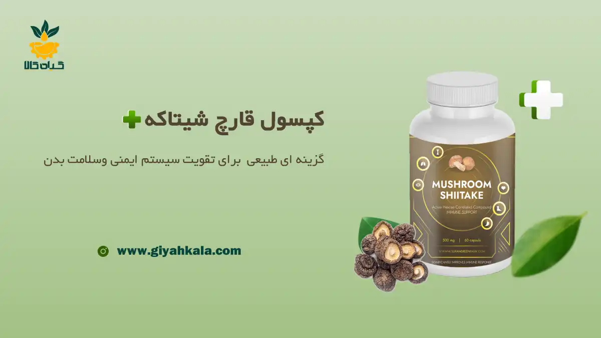 قرص قارچ شیتاکه