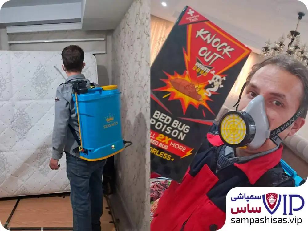 آموزش سمپاشی ساس - گام به گام برای از بین بردن ساس تختخوابی