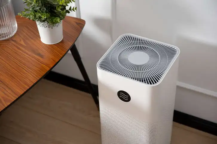 What pollutants can air purifiers not remove