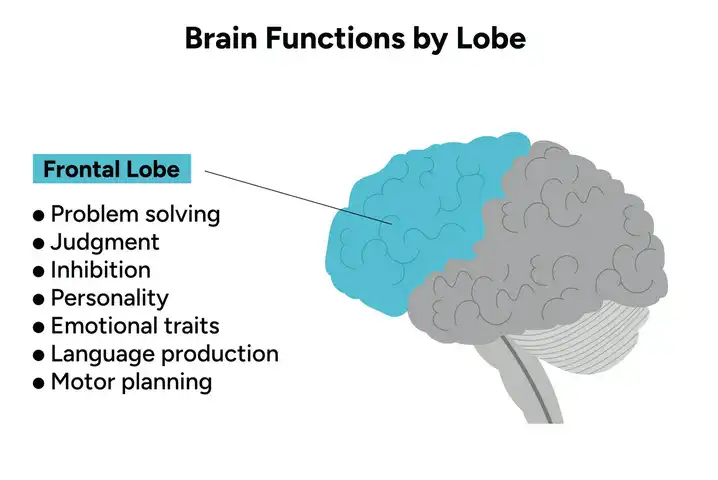 Can personality changes come from frontal lobe tumors