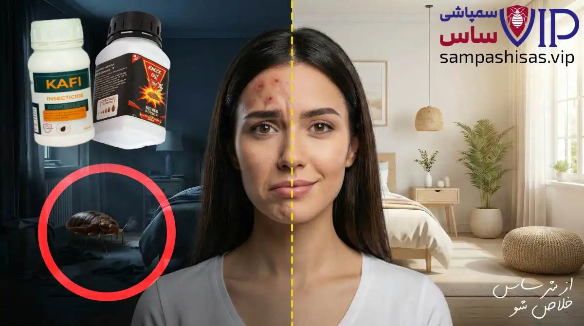 بهترین سم برای از بین بردن ساس (خارجی و ایرانی) بدون بو و بسیار قوی