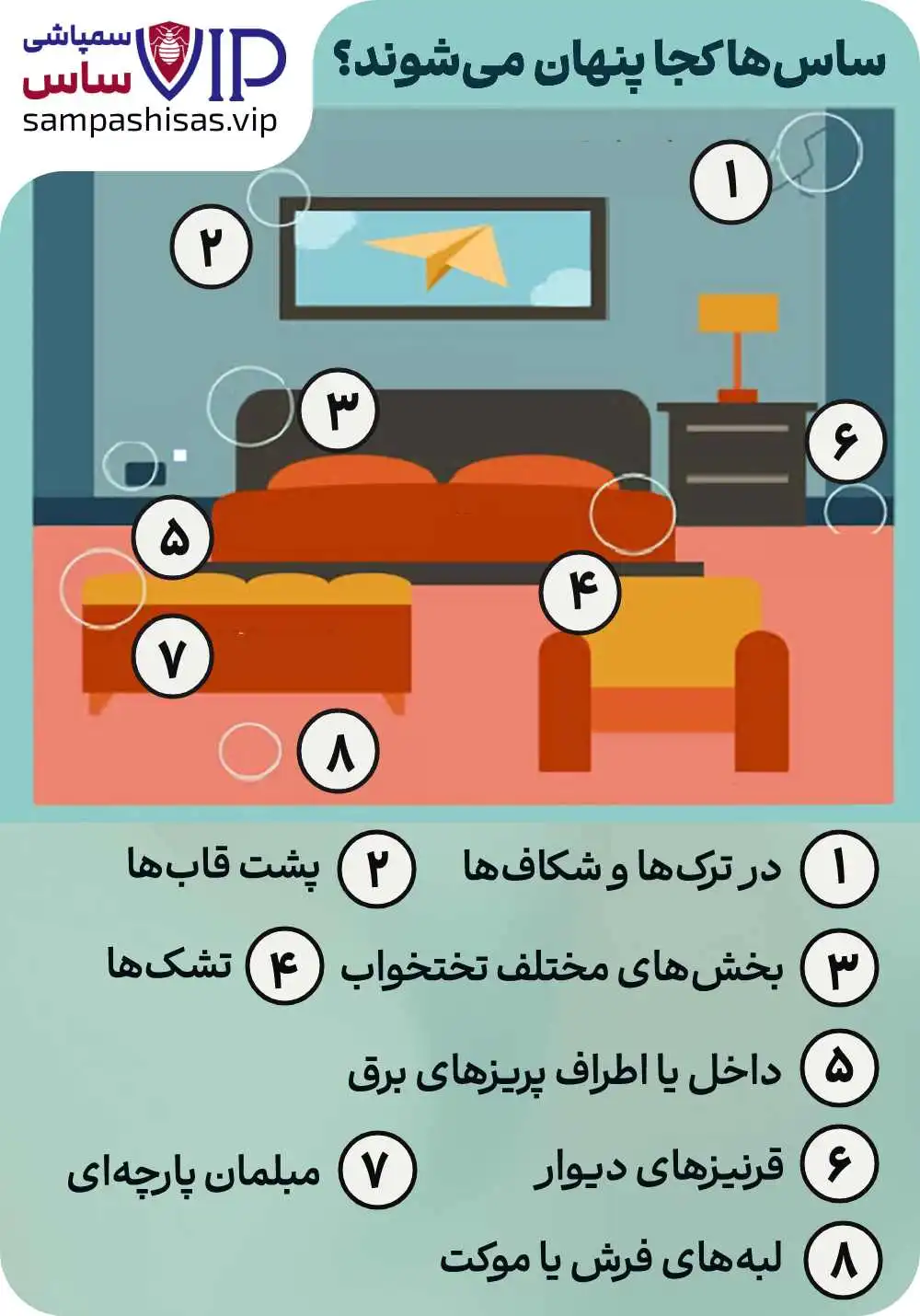 ساس کجا پنهان می شود؟ چطور ساس را پیدا کنیم؟
