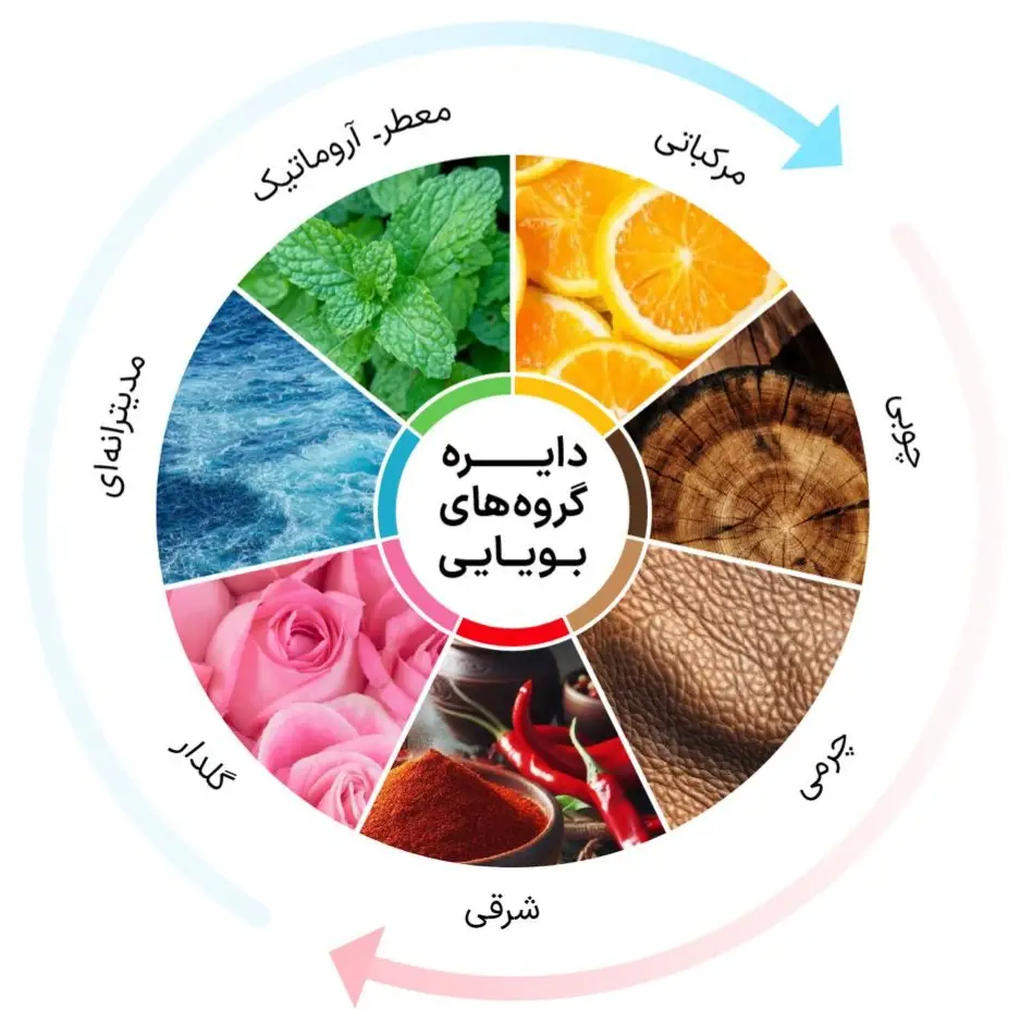 راهنمای تخصصی عطرسرا: چگونه «عطر امضا» (Signature Scent) خود را پیدا کنیم؟