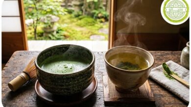 تفاوت چای ماچا و چای سیز